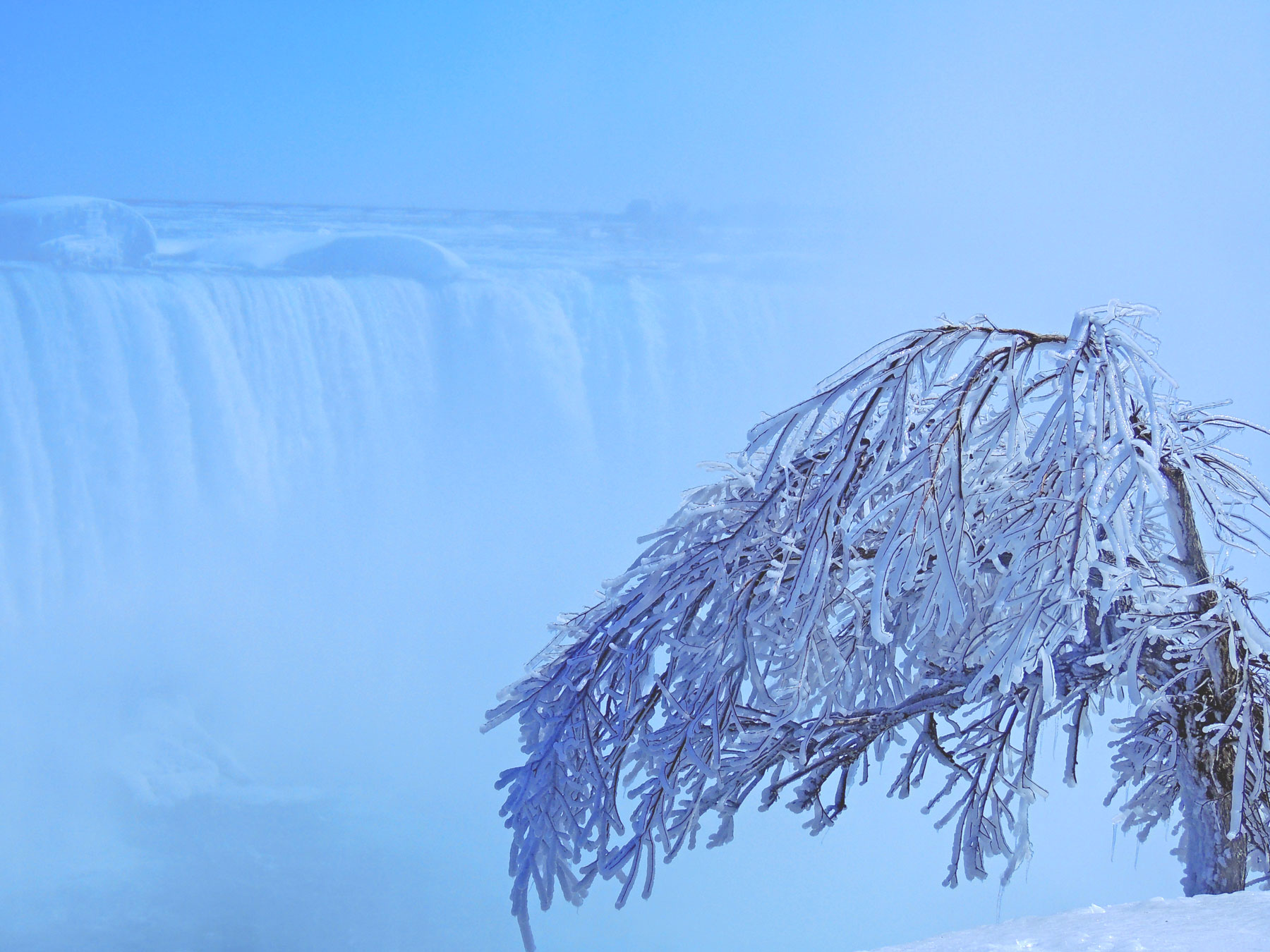 Niagara falls in winter Tree