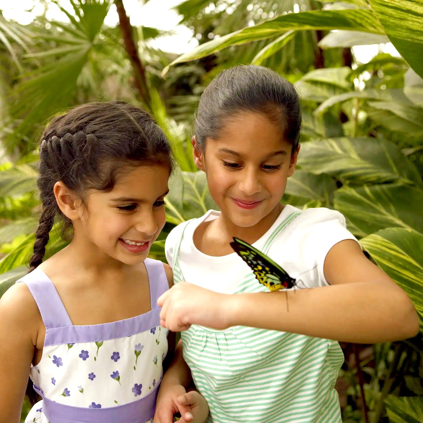 Butterfly Conservatory  pair of young women