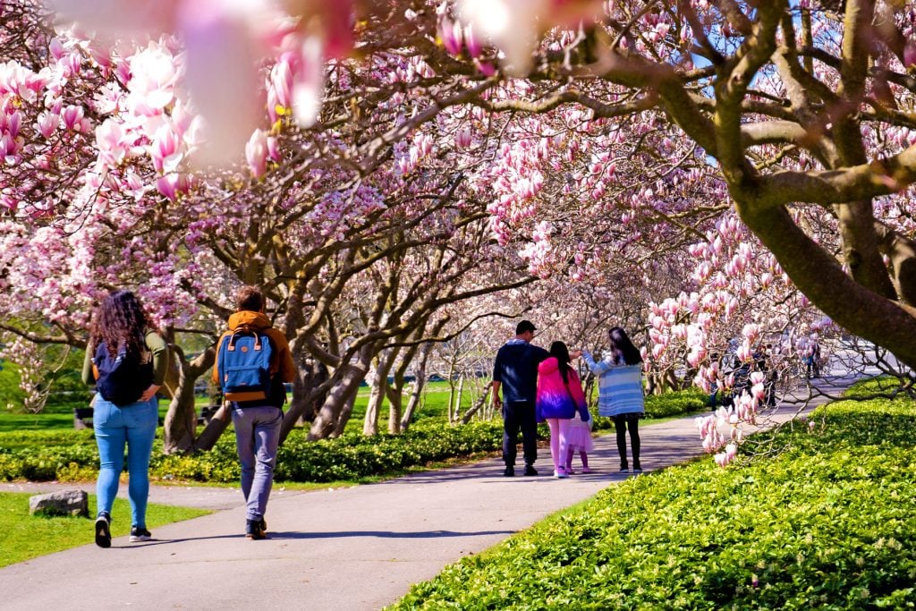 Niagara Falls Family Spring Blossoms