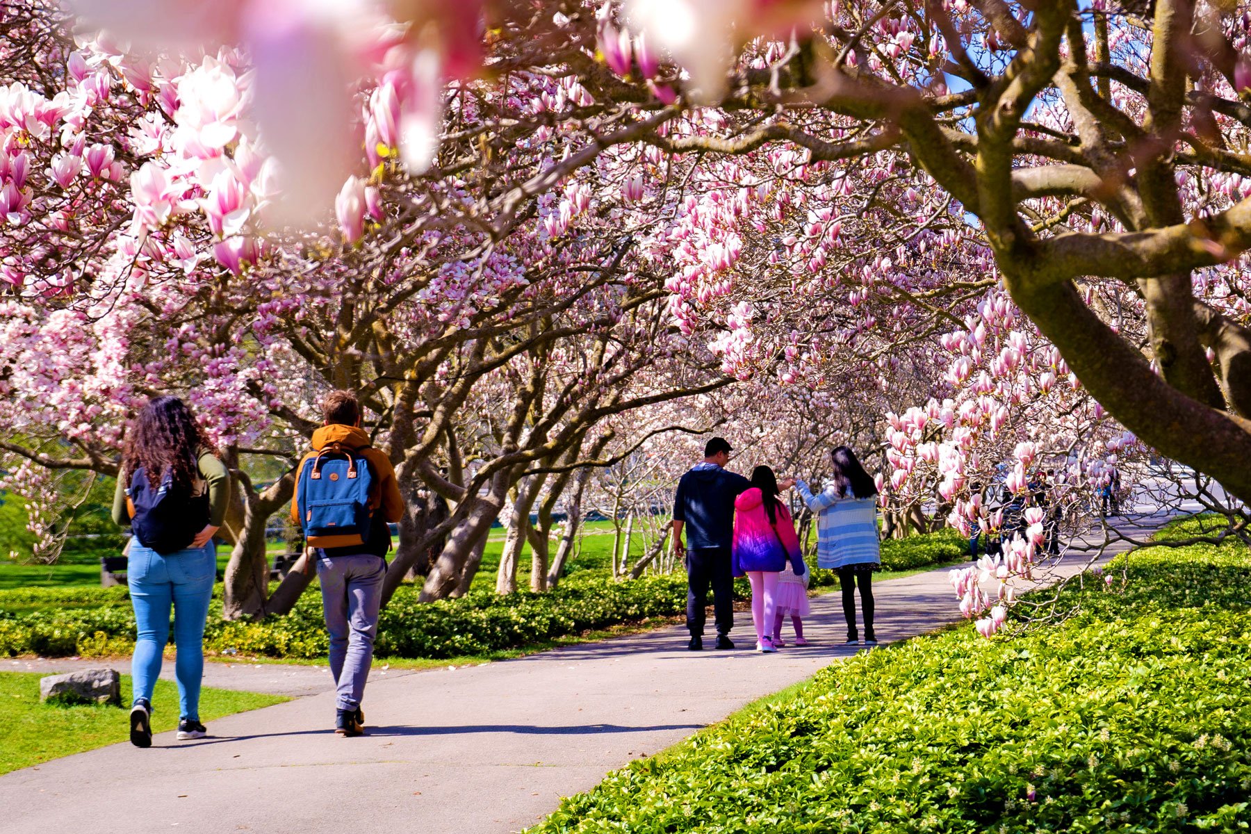 Niagara Falls Family Spring Blossoms