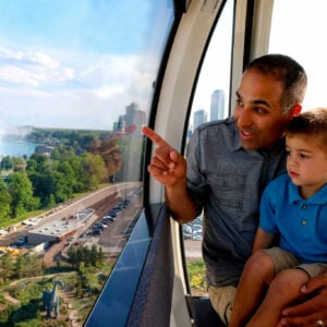 SkyWheel Father with Son