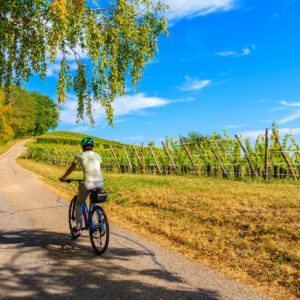niagara vineyard biking