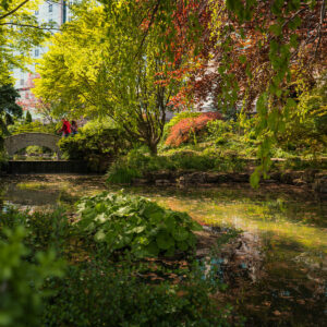 Oakes Garden Theatre Romance on Clifton Hill