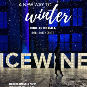 Cool as Ice Gala
