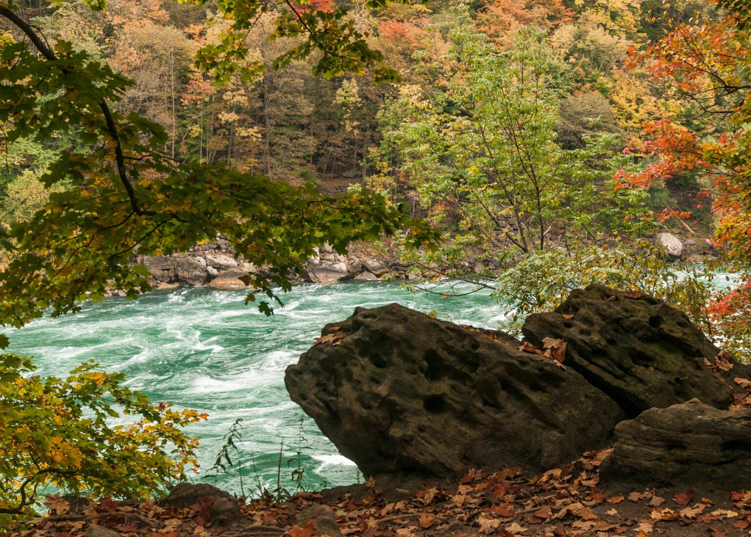 Niagara river gorge Autumn