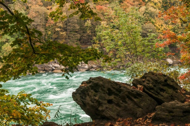 Niagara river gorge Autumn
