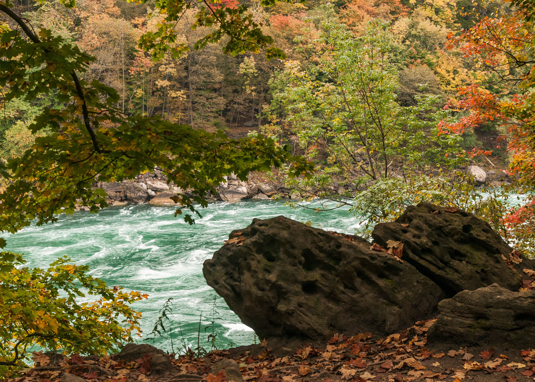 Niagara river gorge Autumn