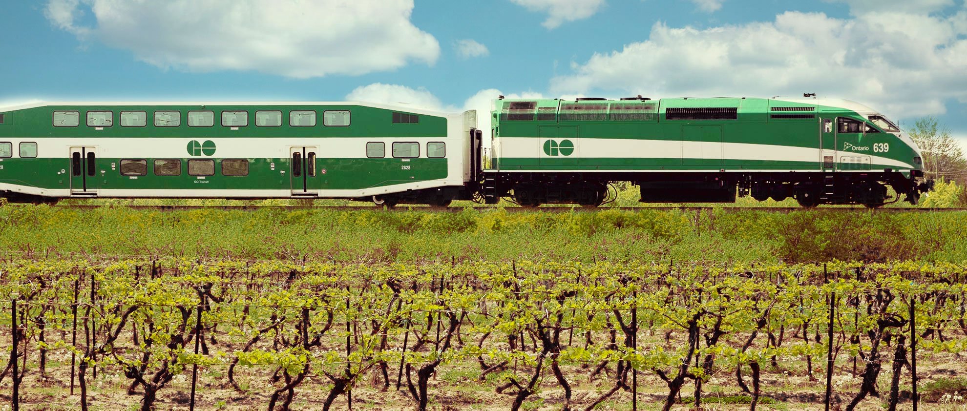 Go Train Niagara Wine Country