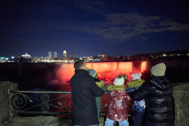 Niagara Falls Winter family at night