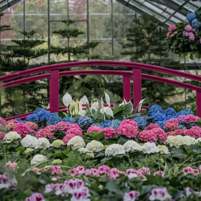 Floral Showhouse Hydrangea Display
