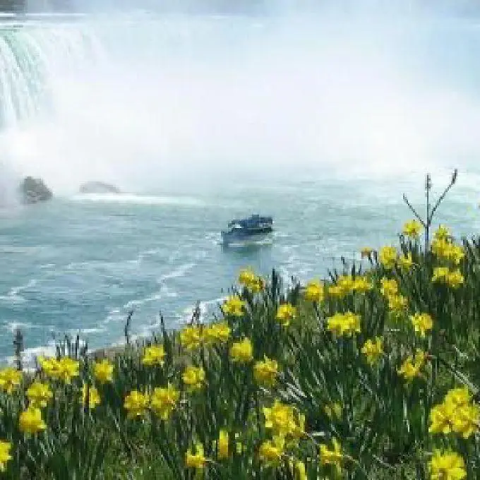Maid of the Mist
