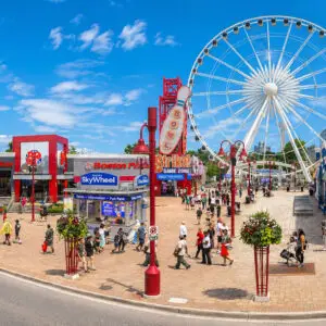 Clifton Hill Summer September