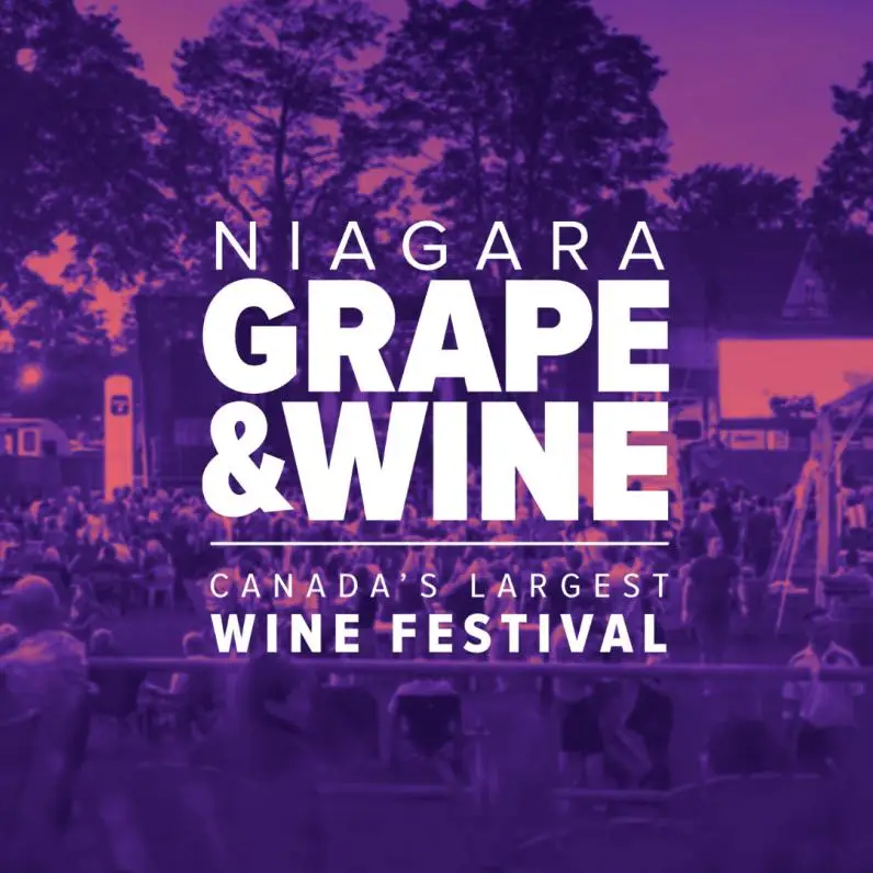 grape and wine promo poster
