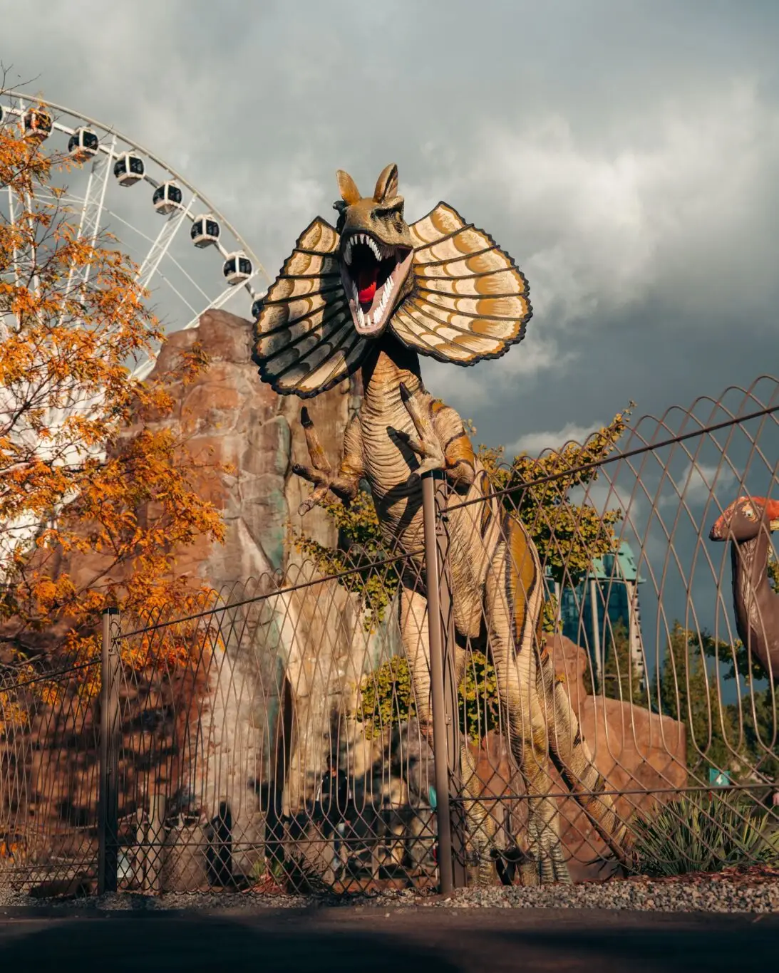 Dino Park Autumn