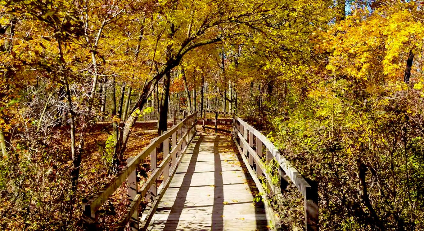 Dufferin Islands Autumn