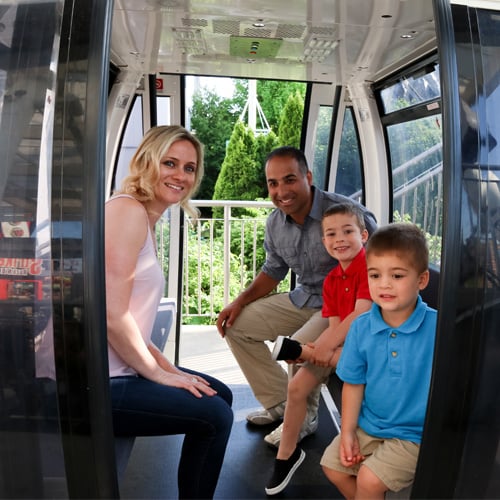 Skywheel Gondola Photo With Young Family Seated