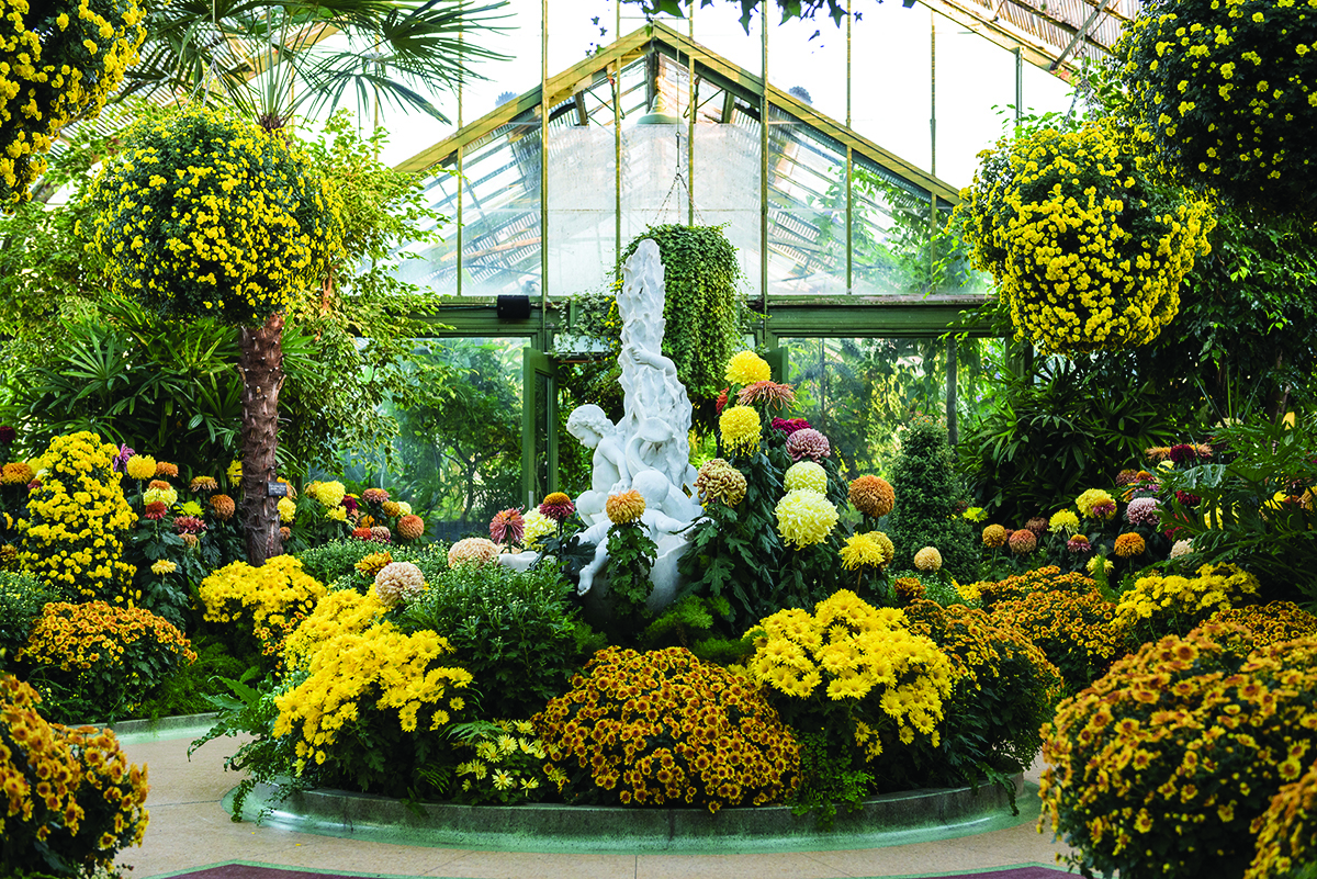 Floral Showhouse Chrysanthemum Show Clifton Hill Niagara Falls, Canada