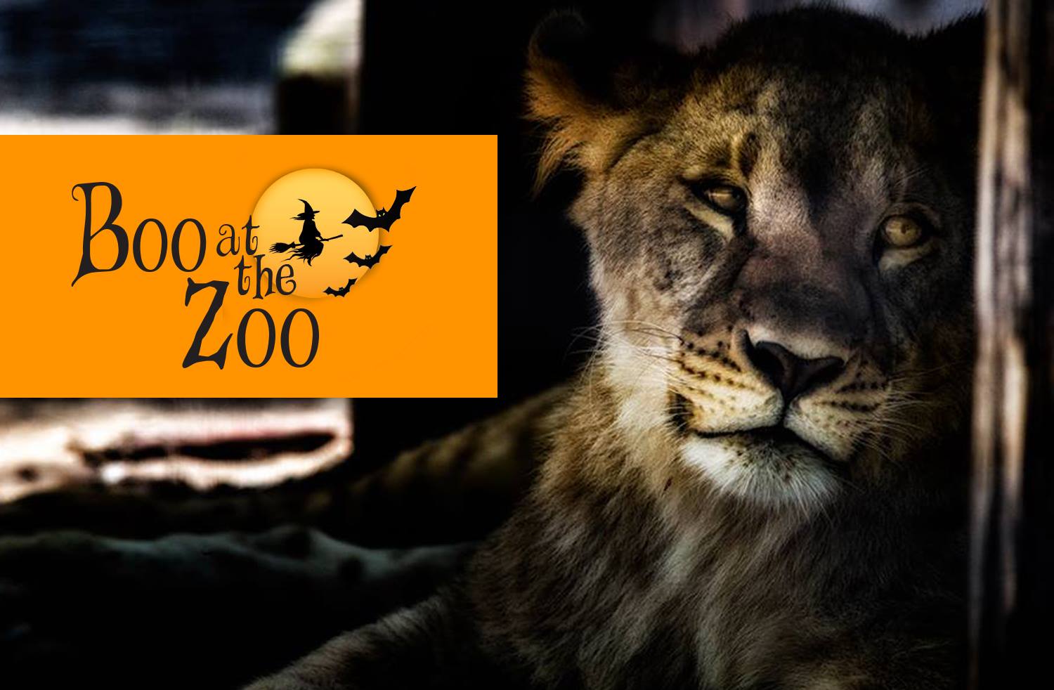 Safari Niagara's Boo at the Zoo | Clifton Hill Niagara Falls ...