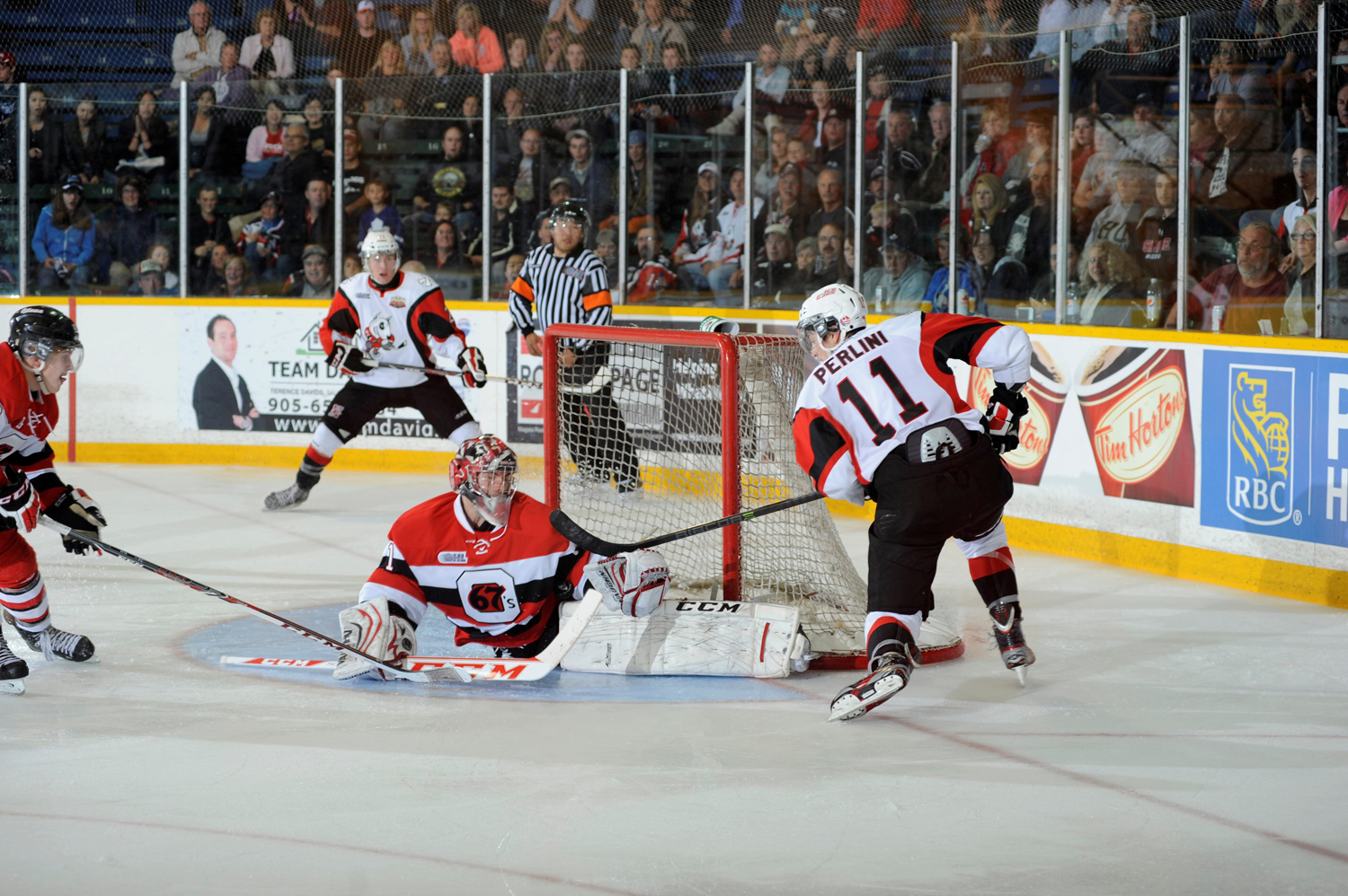 Ice Dogs Hockey