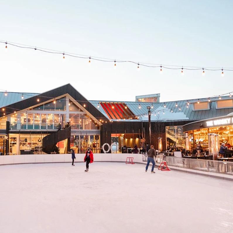 Wayne Gretzky Estates Backyard Rink