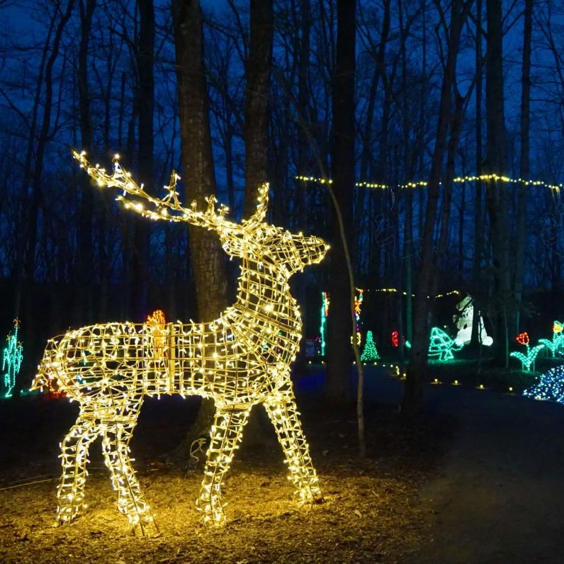 Safari Niagara Light Show
