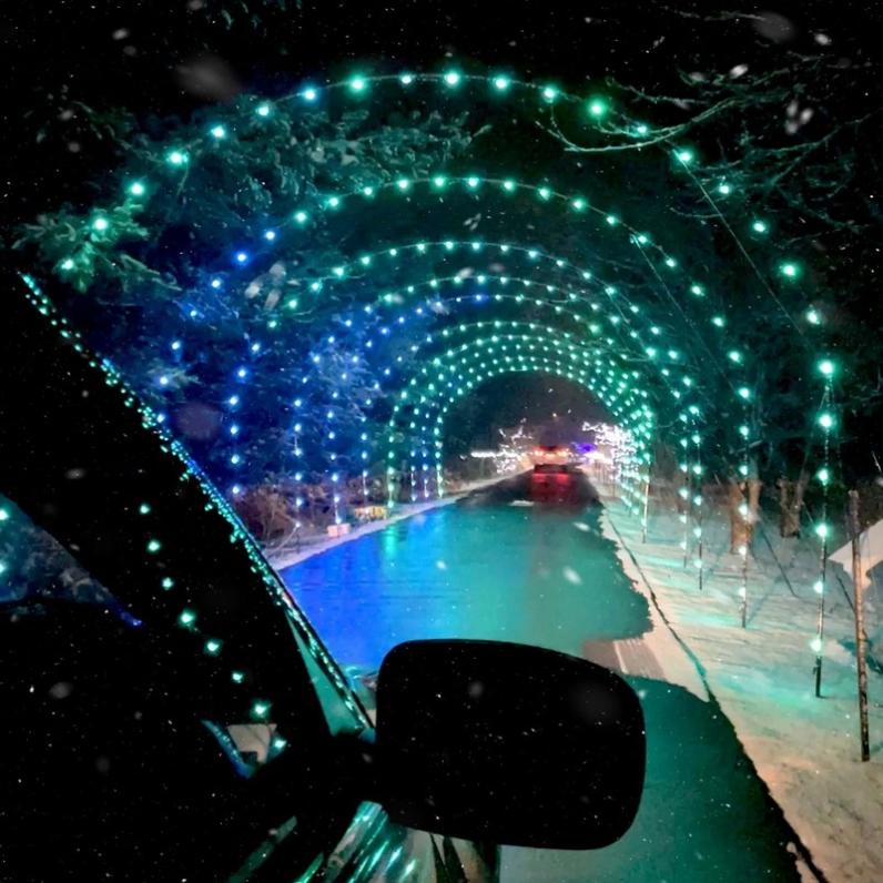 Safari Lights attraction from inside your vehicle