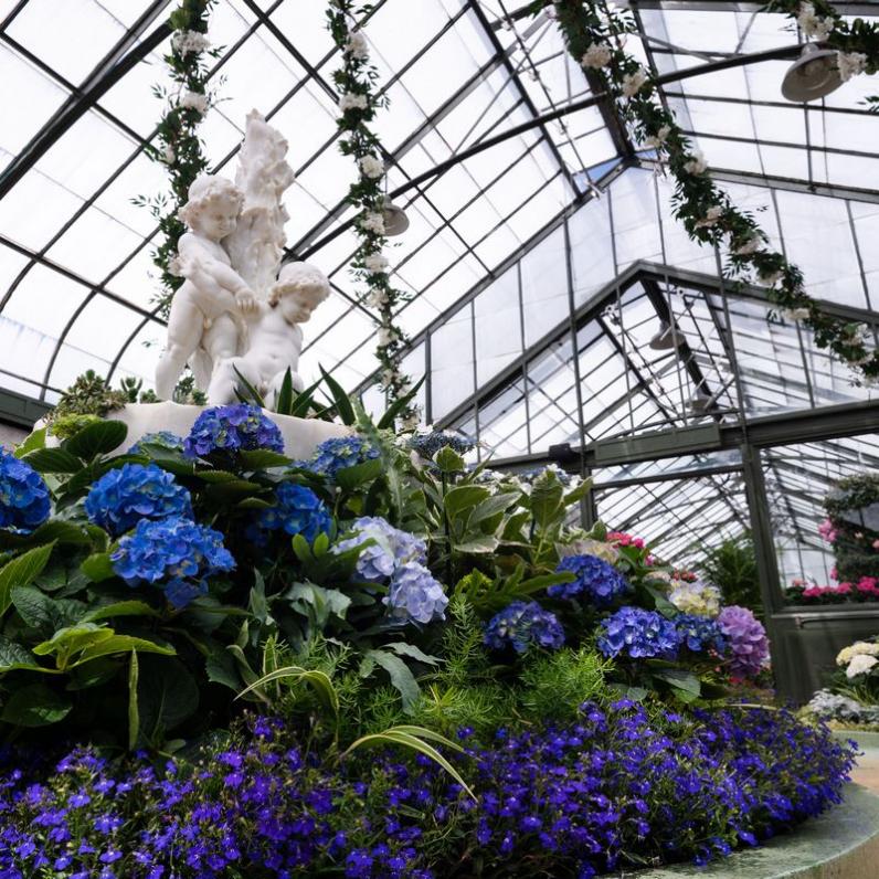 Floral Showhouse
