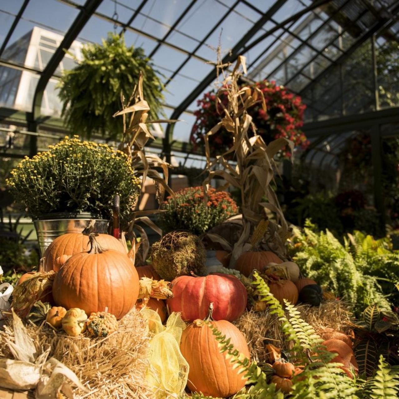 Fall Harvest Display