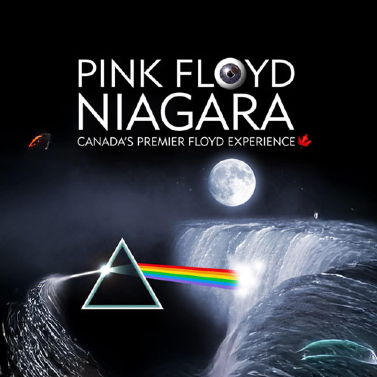 Pink Floyd Niagara Pink Floyd Niagara