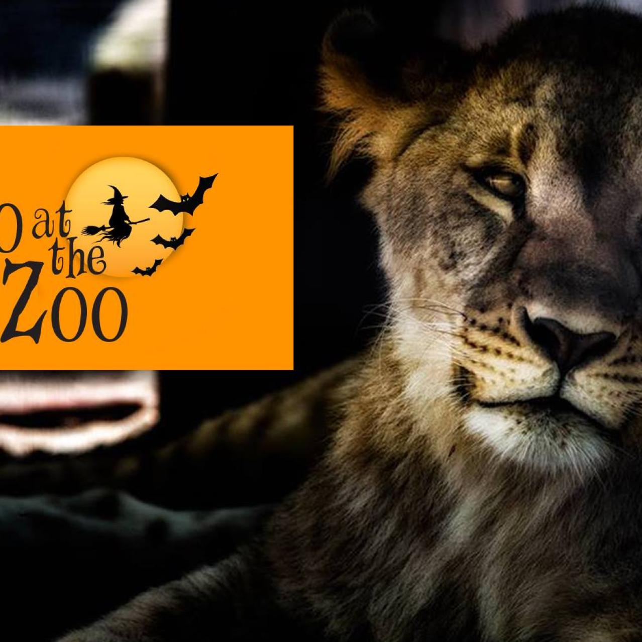Safari Niagara Boo at the Zoo Safari Niagara Boo at the Zoo