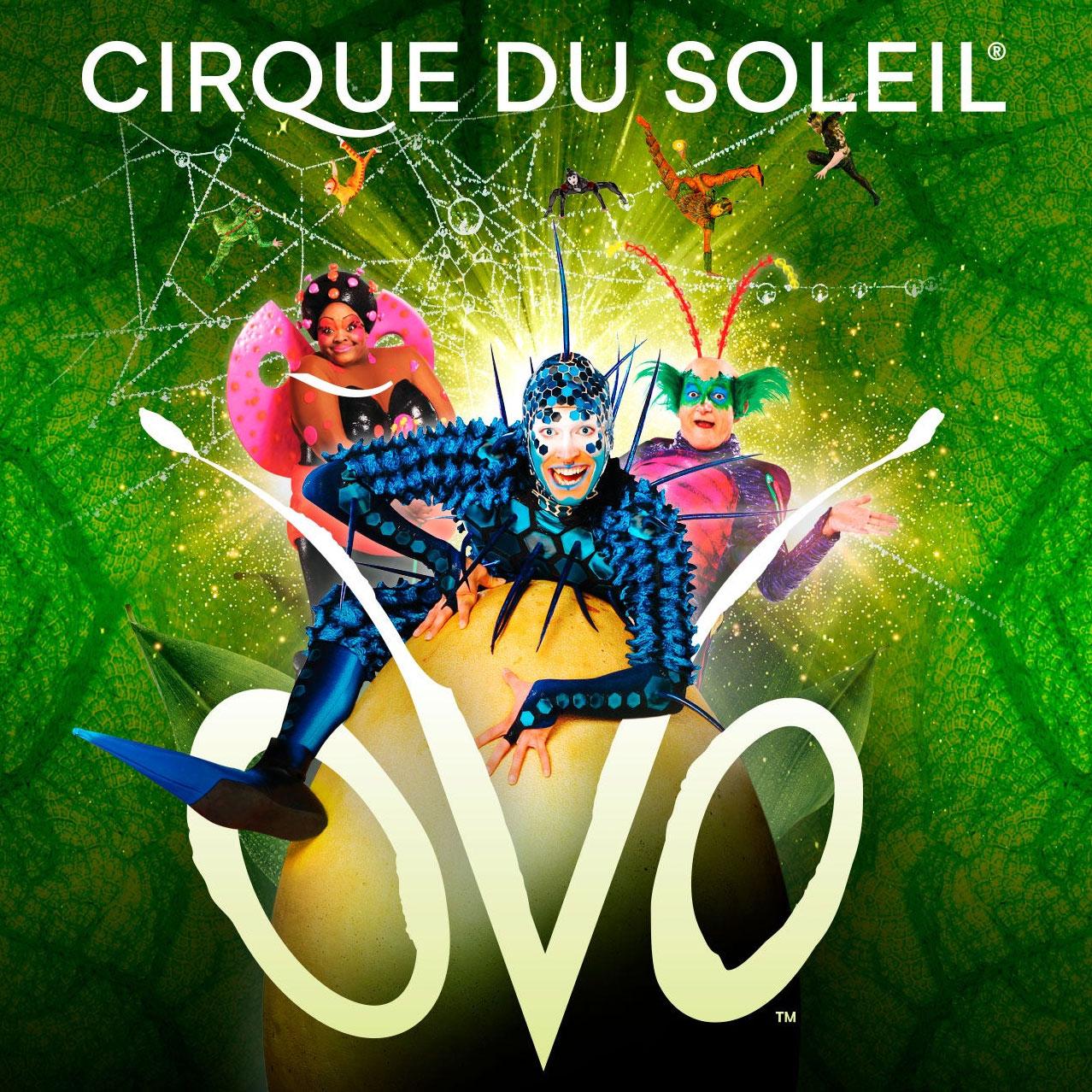 Cirque du Soleil OVO Cirque du Soleil OVO