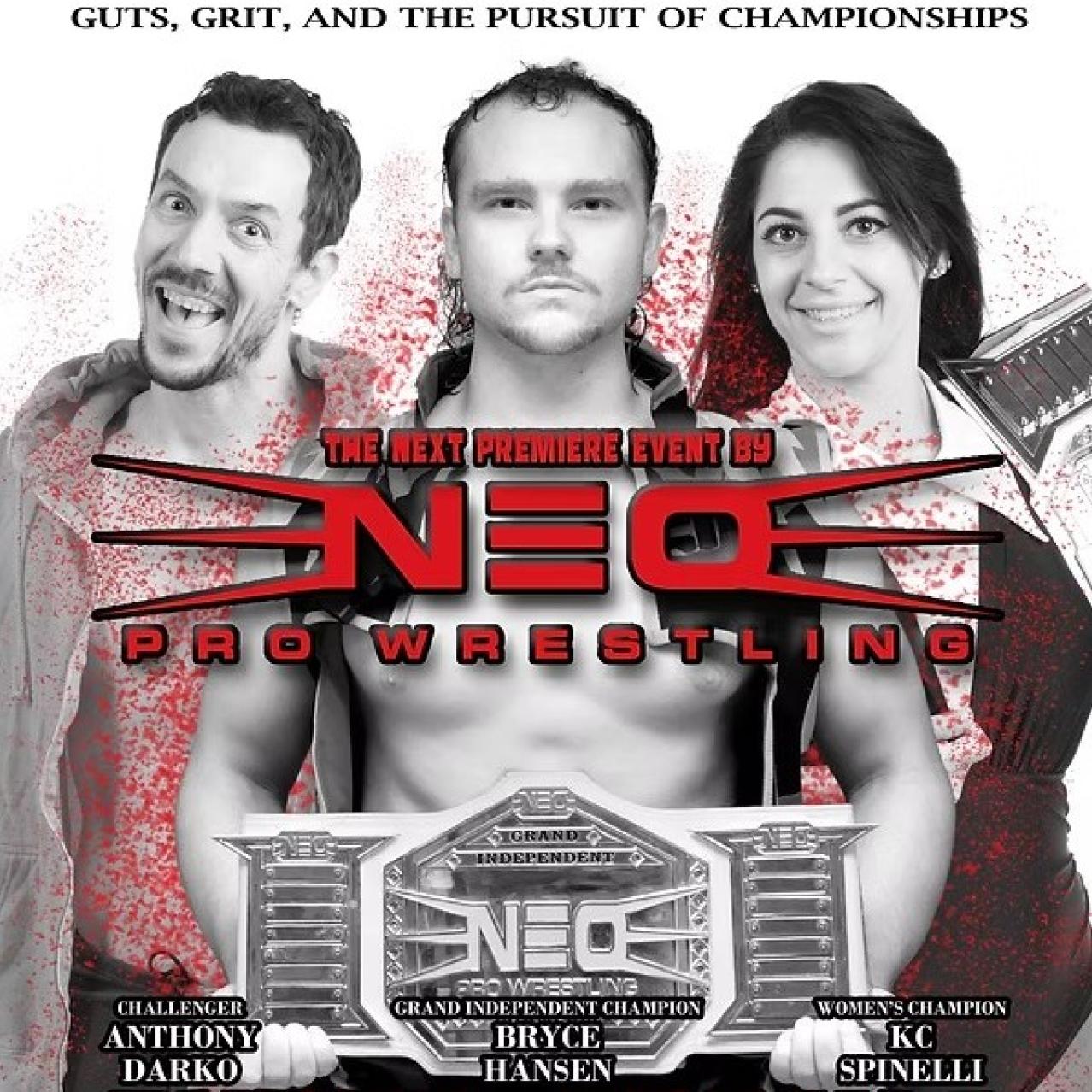NEO Pro Wrestling Promo Poster