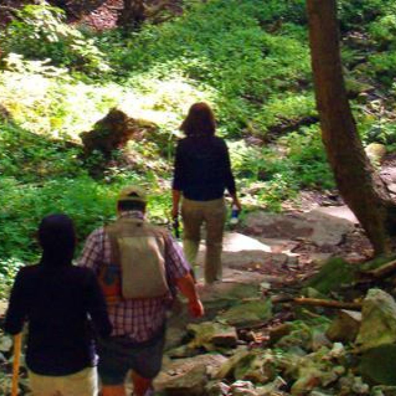 Niagara Glen