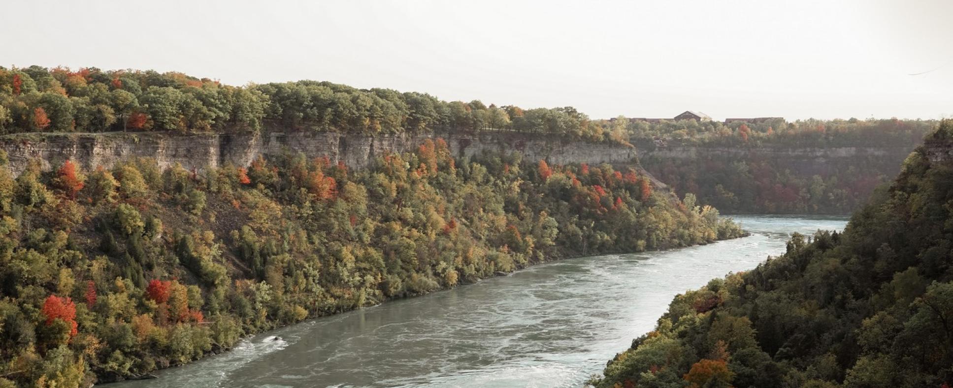 Niagara Parks Niagara Glen featuring the lush green trees and hints of orange and red in the beginning of Fall