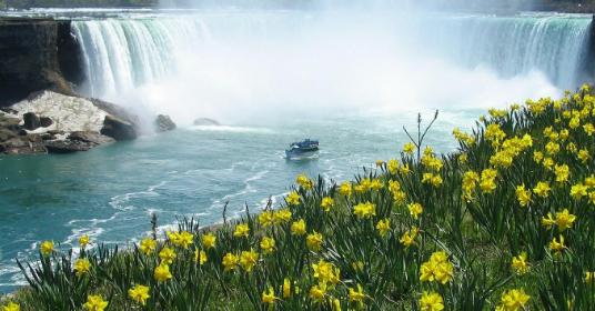 Maid of the mist