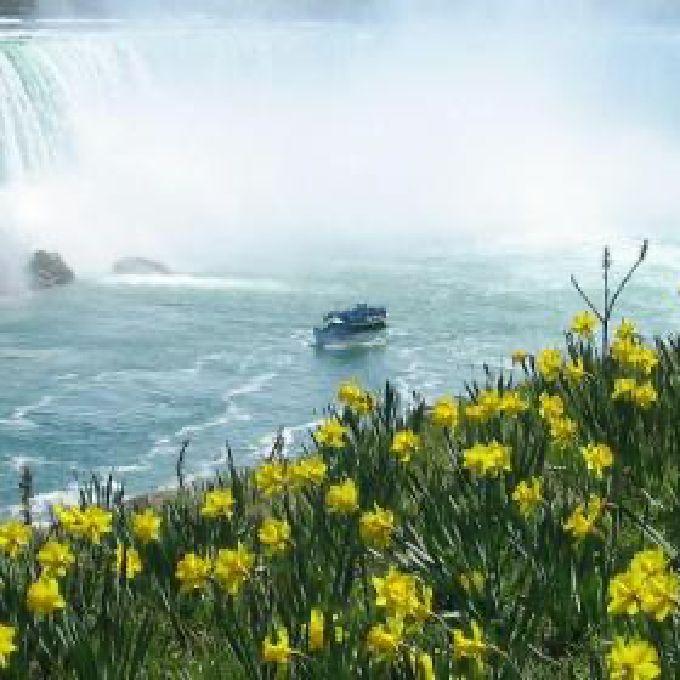 Maid of the Mist