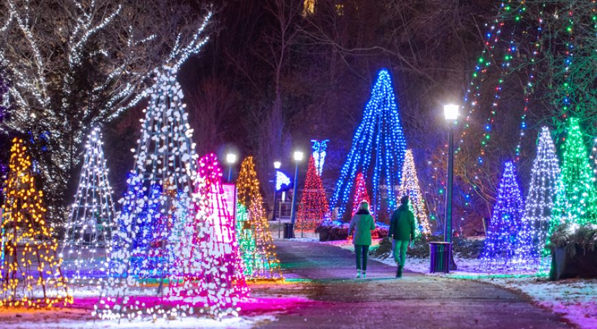 up_wfol_2019_s37_qvp_couple_walkiing 1 (Niagara Falls Tourism).2c9